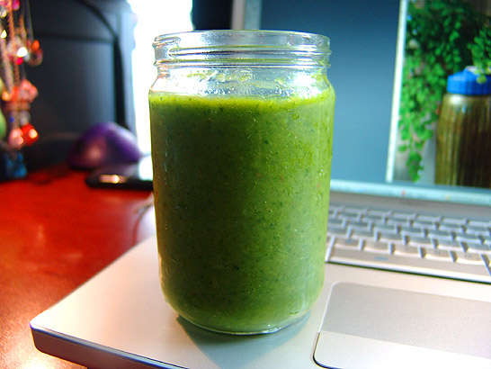 Icy Cold Green Smoothie Shake - A Delicious Whole, Fresh Meal In a Drink - Mango Fruit Veggie Supreme